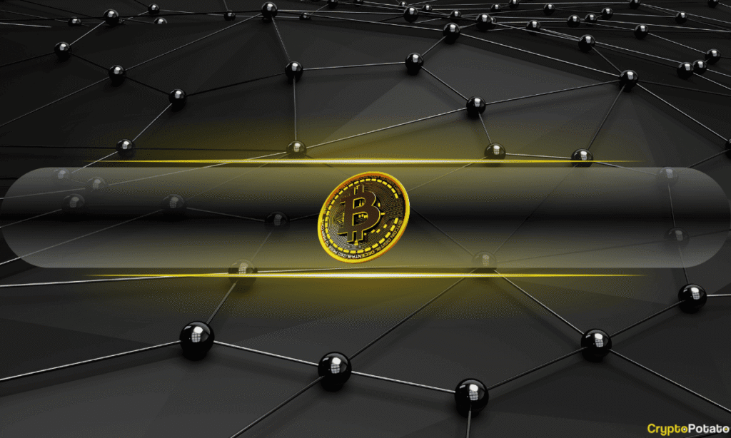 Bitcoin Transaction Fees Hit Lowest Level Since 2017: But It’s Not Due to Weak Demand