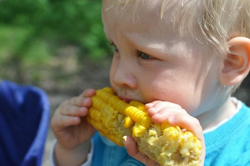 Corn Taking Back Some Losses into Friday’s Midday Corn Taking Back Some Losses into Friday’s Midday