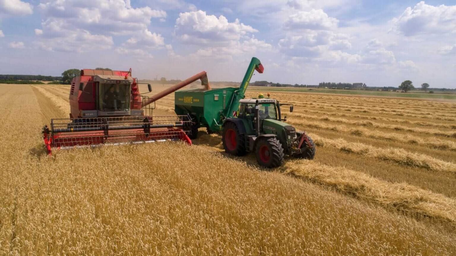 Wheat Rallies the Limit on Tuesday as USDA Releases Production Updates