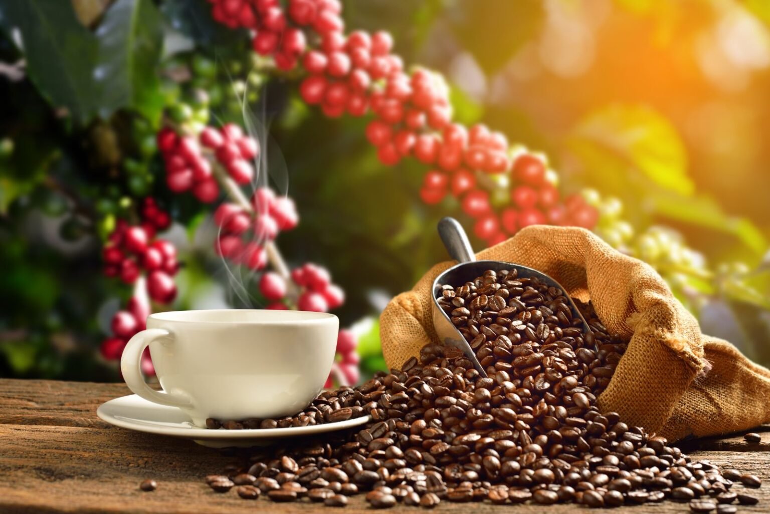 Arabica Coffee Surges on Dollar Weakness and Tight ICE Inventories Arabica Coffee Surges on Dollar Weakness and Tight ICE Inventories