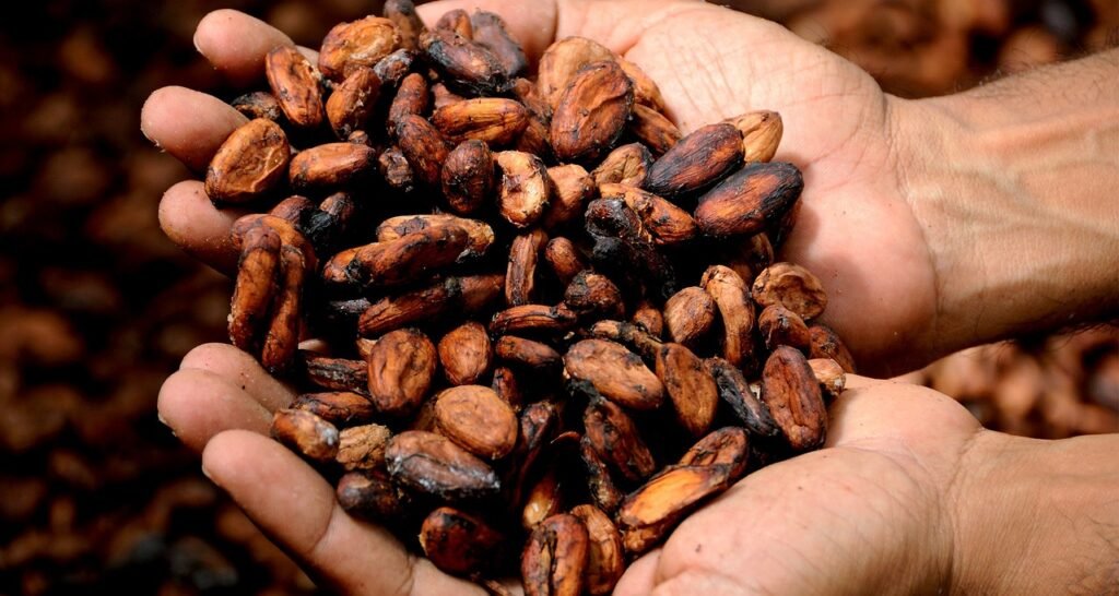 Cocoa Sees Some Support from Weak Dollar